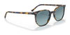 Ray-Ban ELLIOT RB2197 Sunglasses / Havana №902/33 / Brown (3N 14.6%) / Size 52