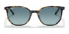 Ray-Ban ELLIOT RB2197 Sunglasses / Havana №902/33 / Brown (3N 14.6%) / Size 52