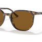 Havana Brown Grey №135757