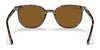 Ray-Ban ELLIOT RB2197 Sunglasses / Havana №902/33 / Brown (3N 14.6%) / Size 52