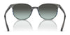 Ray-Ban ELLIOT RB2197 Sunglasses / Havana №902/33 / Brown (3N 14.6%) / Size 52
