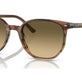 Striped Brown & Green №13920A