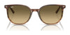 Ray-Ban ELLIOT RB2197 Sunglasses / Havana №902/33 / Brown (3N 14.6%) / Size 52