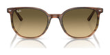 Ray-Ban ELLIOT RB2197 Sunglasses