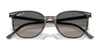 Ray-Ban ELLIOT RB2197 Sunglasses / Havana №902/33 / Brown (3N 14.6%) / Size 52