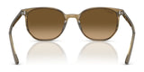 Ray-Ban ELLIOT RB2197 Sunglasses