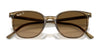 Ray-Ban ELLIOT RB2197 Sunglasses / Havana №902/33 / Brown (3N 14.6%) / Size 52