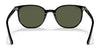 Ray-Ban ELLIOT RB2197 Sunglasses / Havana №902/33 / Brown (3N 14.6%) / Size 52