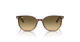 Ray-Ban ELLIOT RB2197F Sunglasses | Size 54