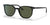 Ray-Ban ELLIOT RB2197F Sunglasses | Size 54 / Black №901/31