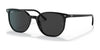 Ray-Ban ELLIOT RB2197F Sunglasses | Size 54 / Black №901/48 / Black (Polarized) (3P 11.40%)