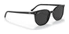 Ray-Ban ELLIOT RB2197F Sunglasses | Size 54 / Black №901/48 / Black (Polarized) (3P 11.40%)