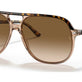 Havana On Transparent Brown №129251