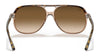 Ray-Ban BILL RB2198 Sunglasses / Havana On Transparent Brown №129251 / Light Brown Gradient (2N 30.5%) / Size 56