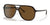 Ray-Ban BILL RB2198 Sunglasses / Havana №902/57