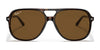Ray-Ban BILL RB2198 Sunglasses / Havana On Transparent Brown №129251 / Light Brown Gradient (2N 30.5%) / Size 56