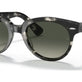 Grey Havana №133371