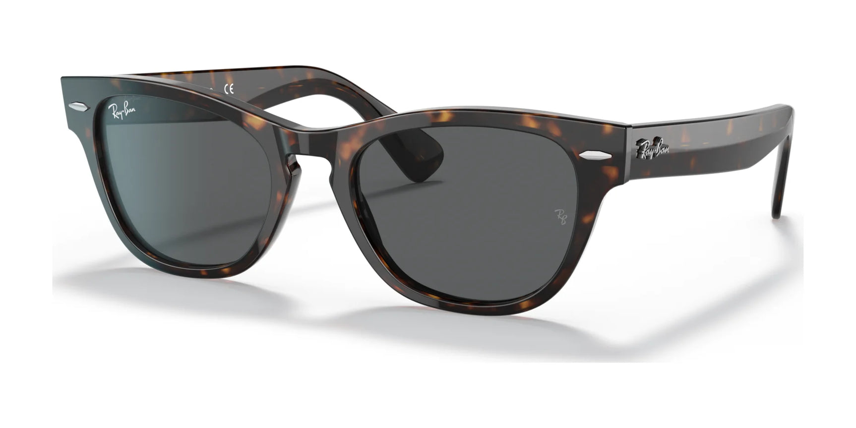 Ray-Ban LARAMIE RB2201 Sunglasses Tortoise / Dark Grey