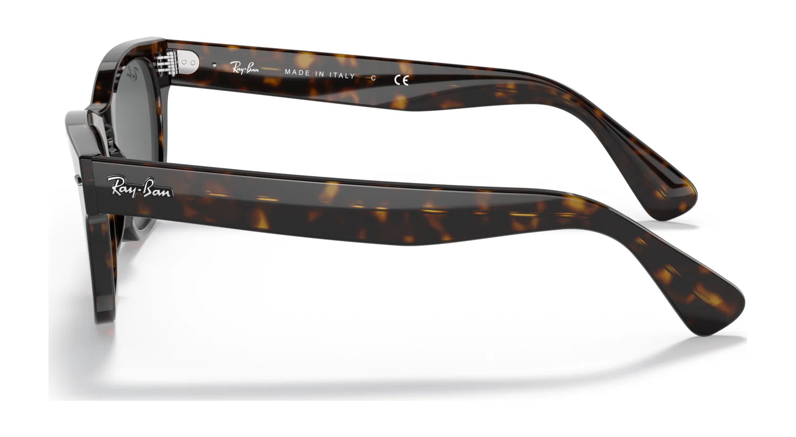 Ray-Ban LARAMIE RB2201 Sunglasses | Size 54