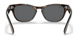 Ray-Ban LARAMIE RB2201 Sunglasses | Size 54