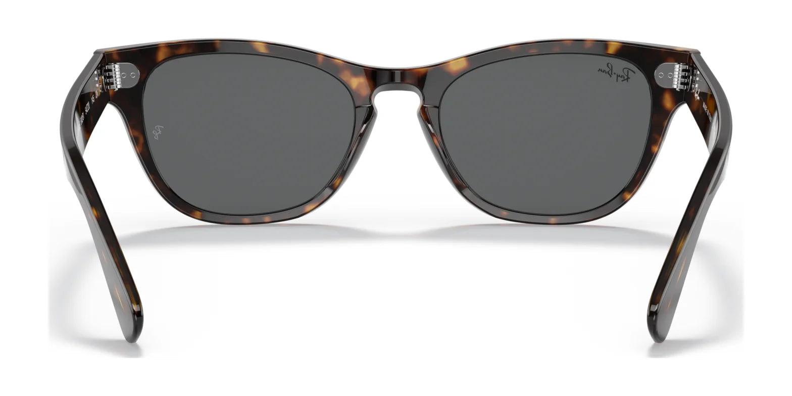 Ray-Ban LARAMIE RB2201 Sunglasses | Size 54