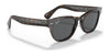 Ray-Ban LARAMIE RB2201 Sunglasses | Size 54 / Tortoise №902/B1 / Dark Grey (3N 15.30%)
