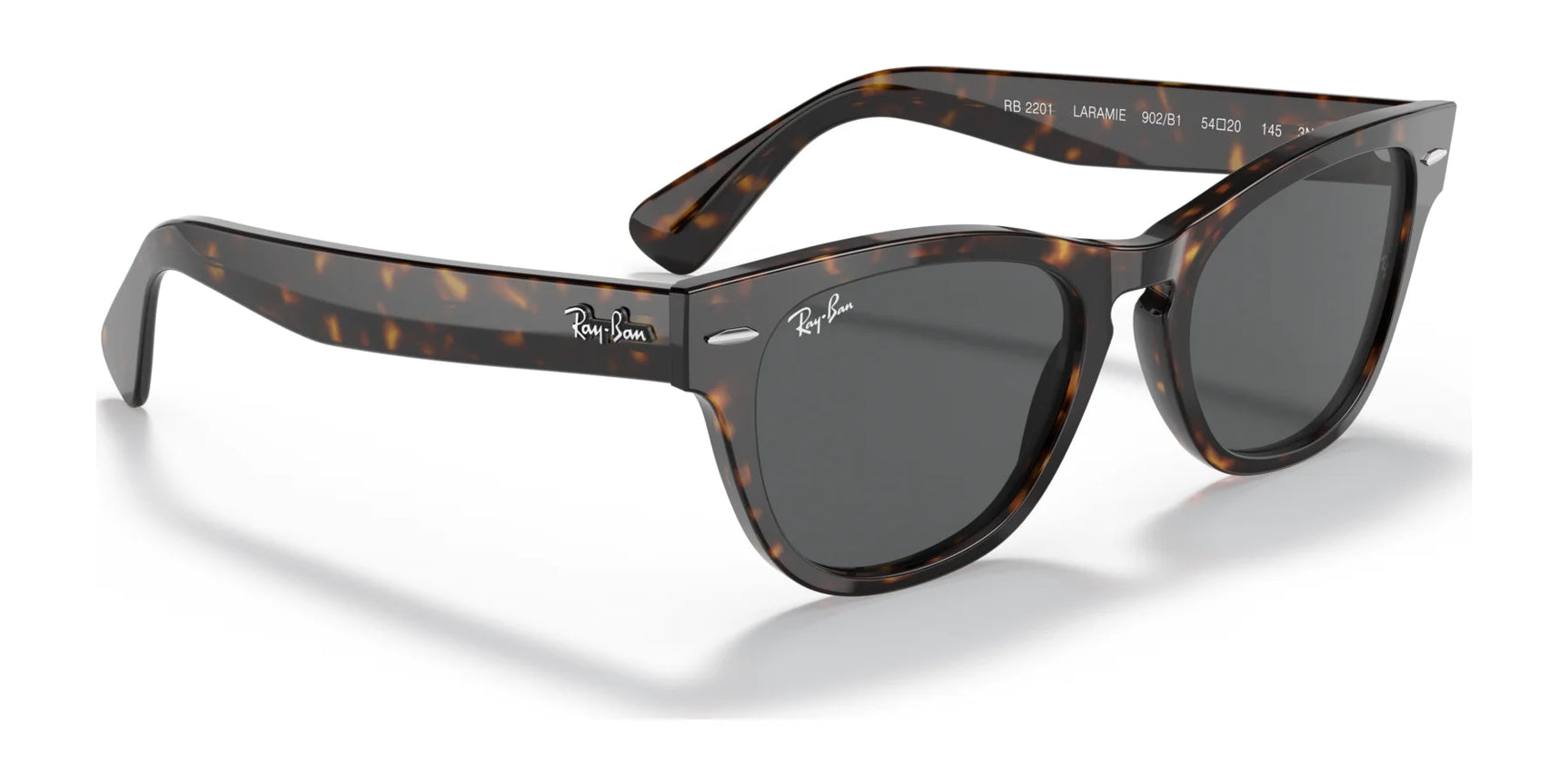 Ray-Ban LARAMIE RB2201 Sunglasses | Size 54