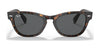 Ray-Ban LARAMIE RB2201 Sunglasses | Size 54 / Tortoise №902/B1 / Dark Grey (3N 15.30%)