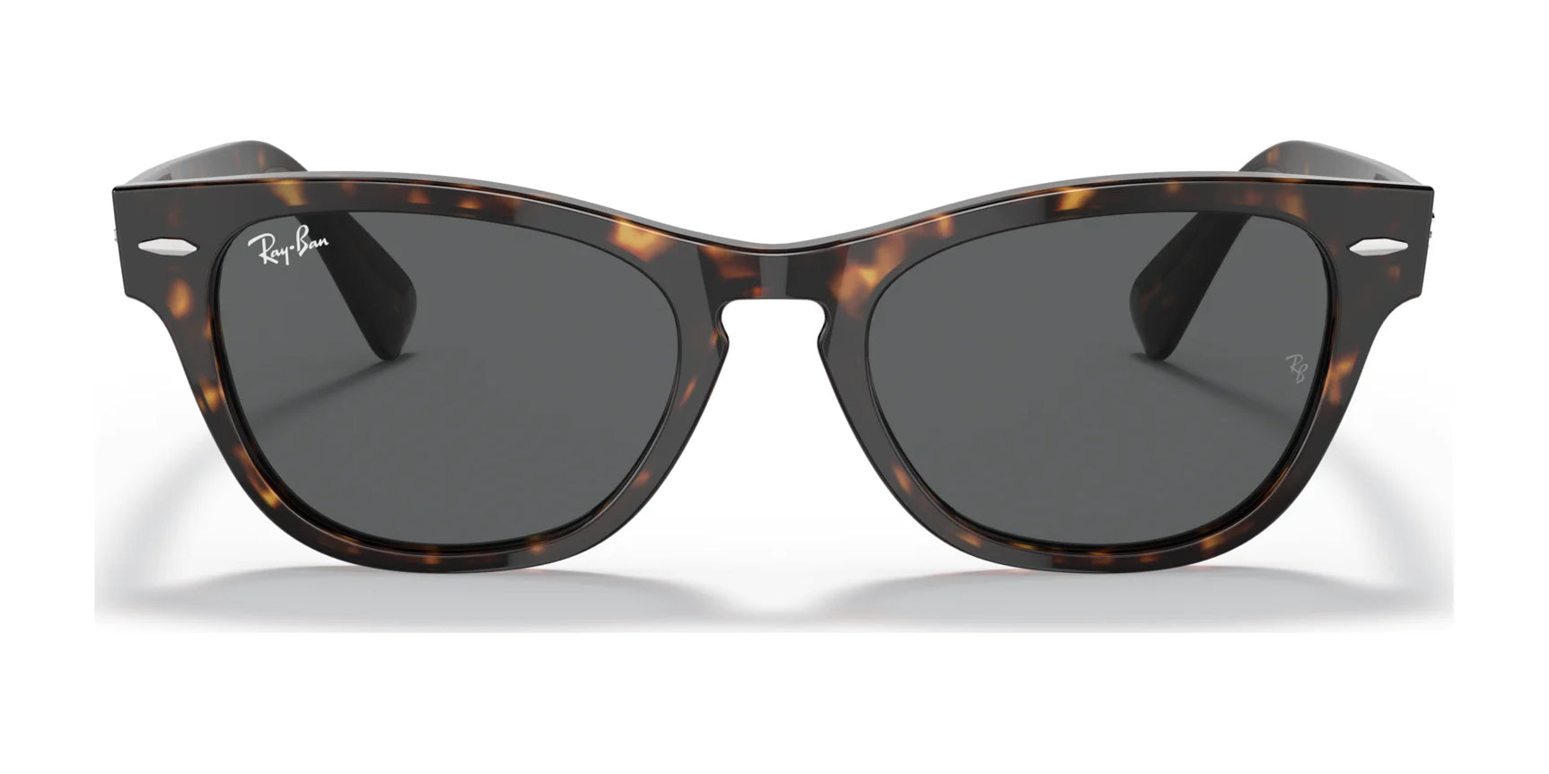 Ray-Ban LARAMIE RB2201 Sunglasses | Size 54