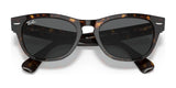 Ray-Ban LARAMIE RB2201 Sunglasses | Size 54