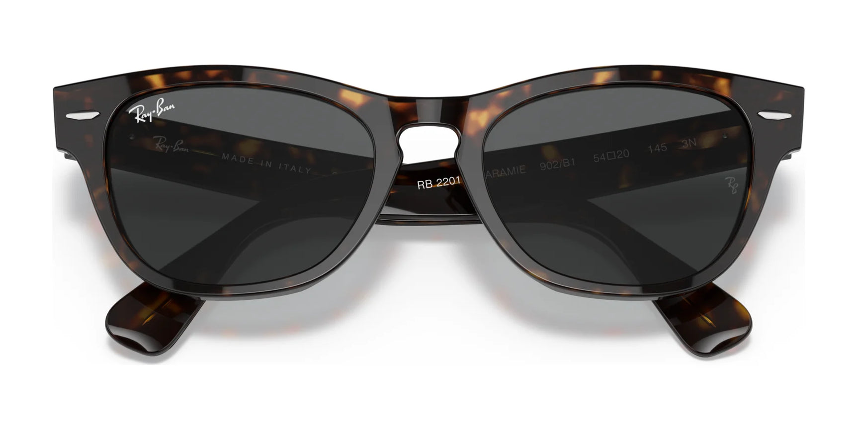 Ray-Ban LARAMIE RB2201 Sunglasses | Size 54