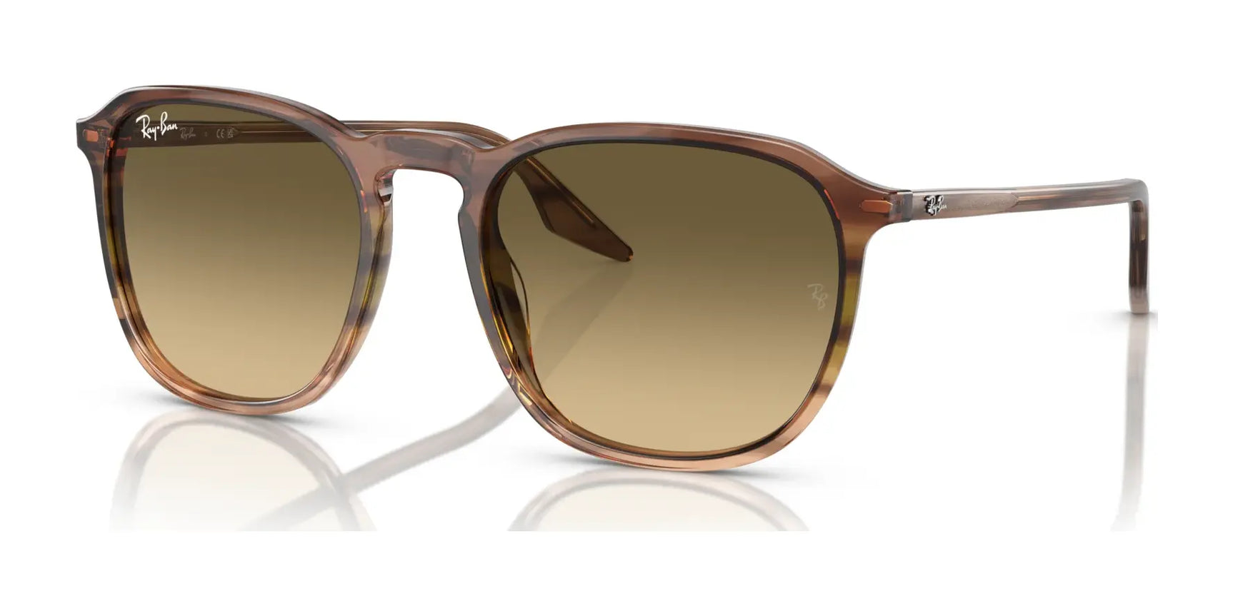 Ray-Ban RB2203 Sunglasses