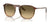 Ray-Ban RB2203 Sunglasses / Striped Brown & Green №13920A