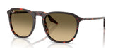 Ray-Ban RB2203 Sunglasses