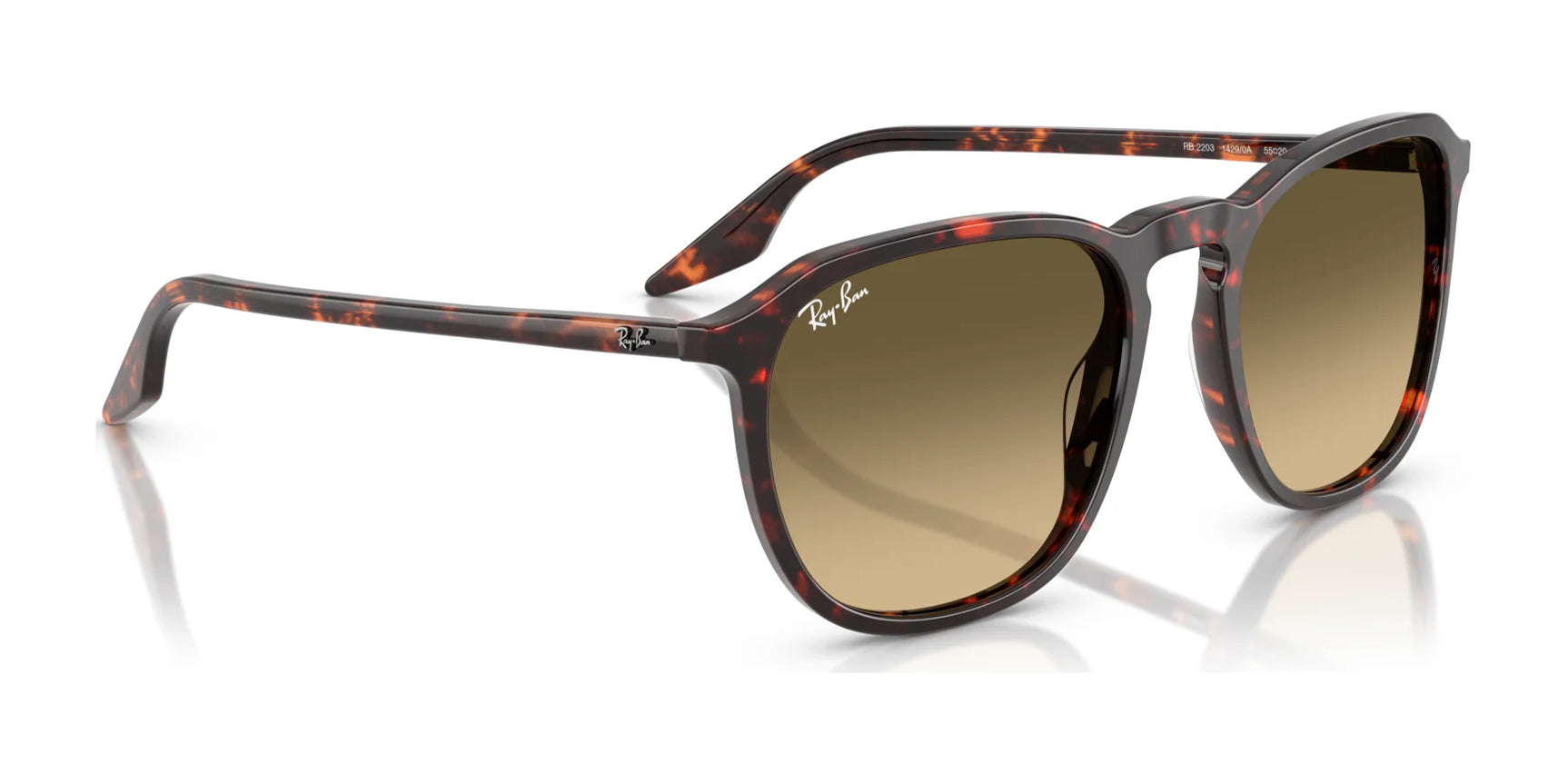 Ray-Ban RB2203 Sunglasses