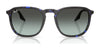 Ray-Ban RB2203 Sunglasses / Havana №902/51 / Light Brown (2N 30.5%) / Size 52