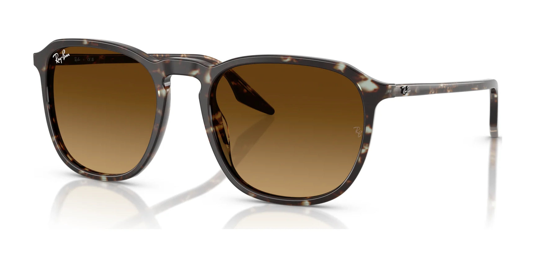 Ray-Ban RB2203 Sunglasses