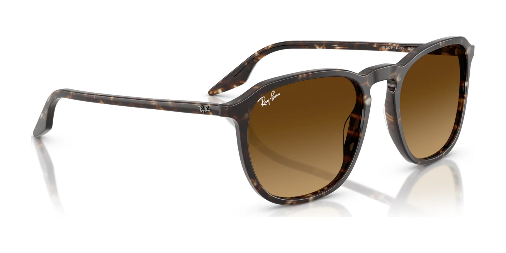 Ray-Ban RB2203 Sunglasses