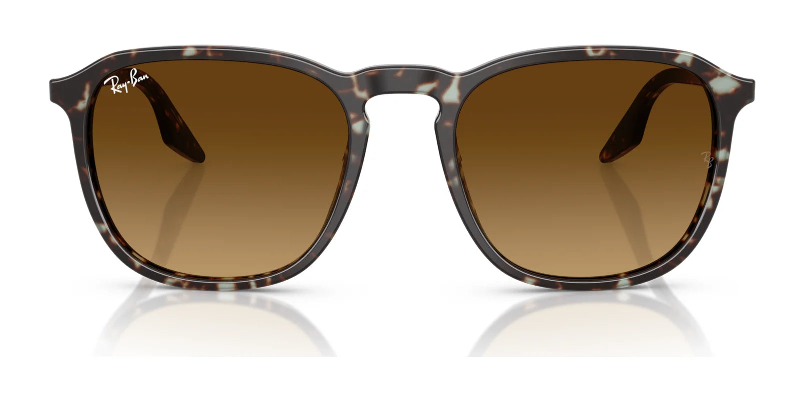 Ray-Ban RB2203 Sunglasses