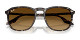 Ray-Ban RB2203 Sunglasses