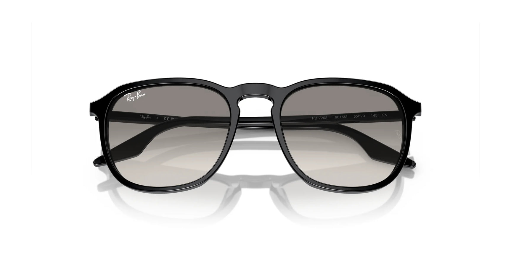 Ray-Ban RB2203 Sunglasses