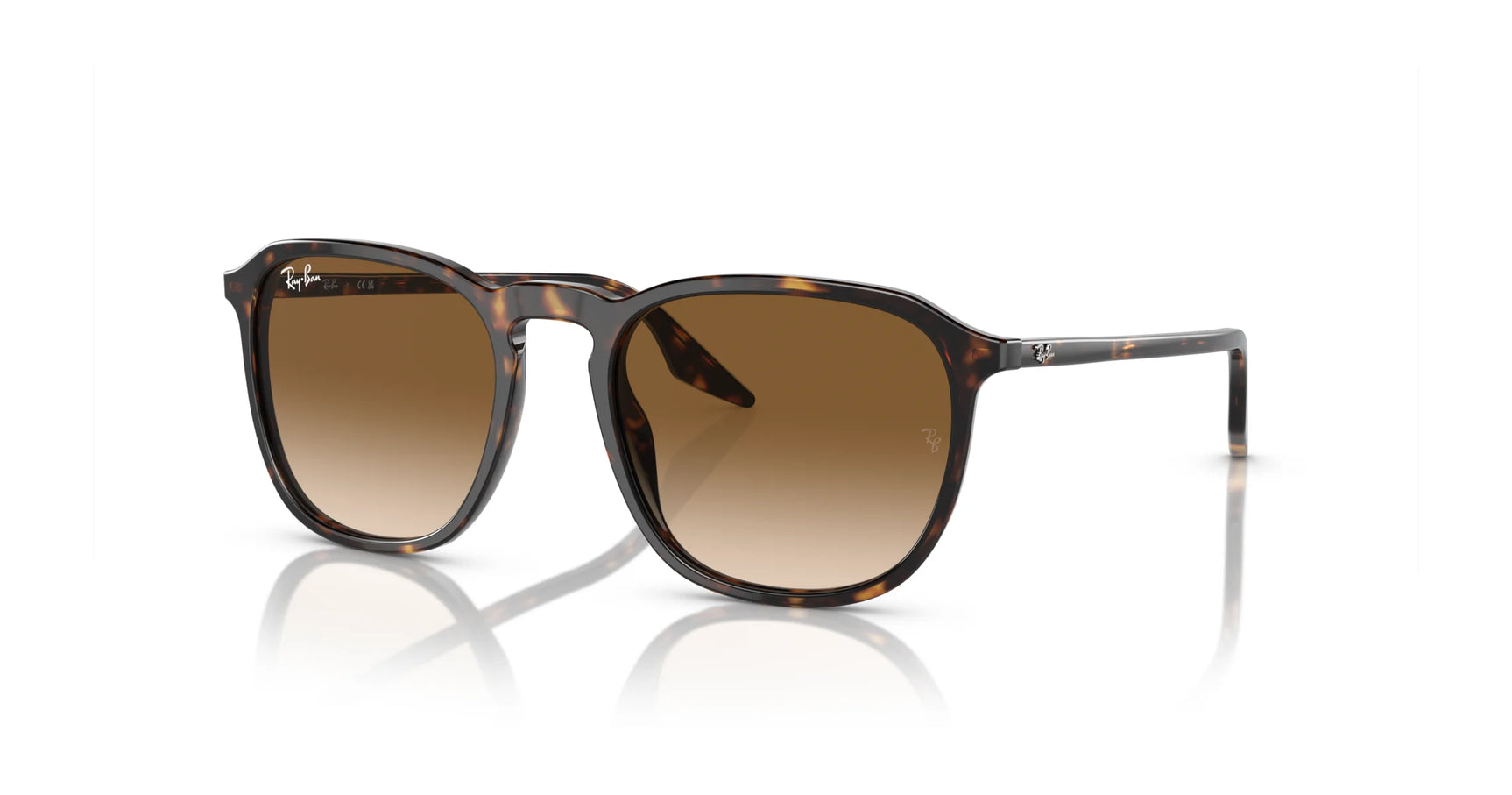 Ray-Ban RB2203 Sunglasses