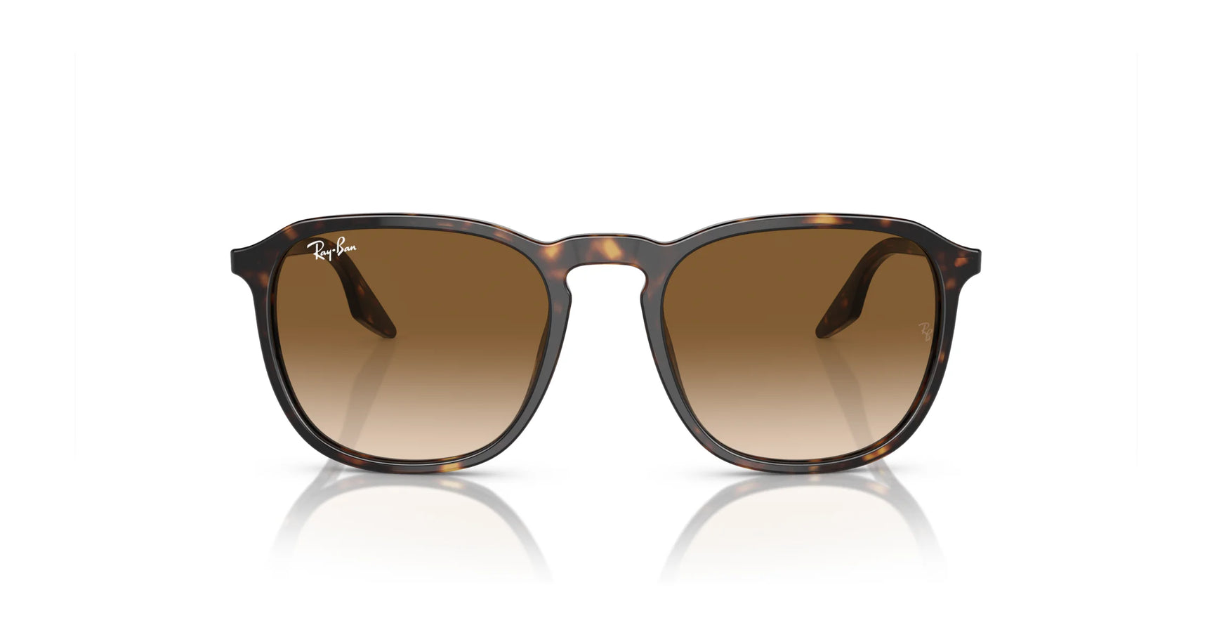 Ray-Ban RB2203 Sunglasses