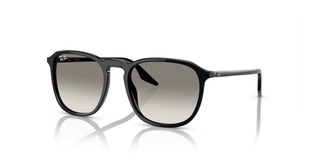 Ray-Ban RB2203F Sunglasses Black / Clear / Grey