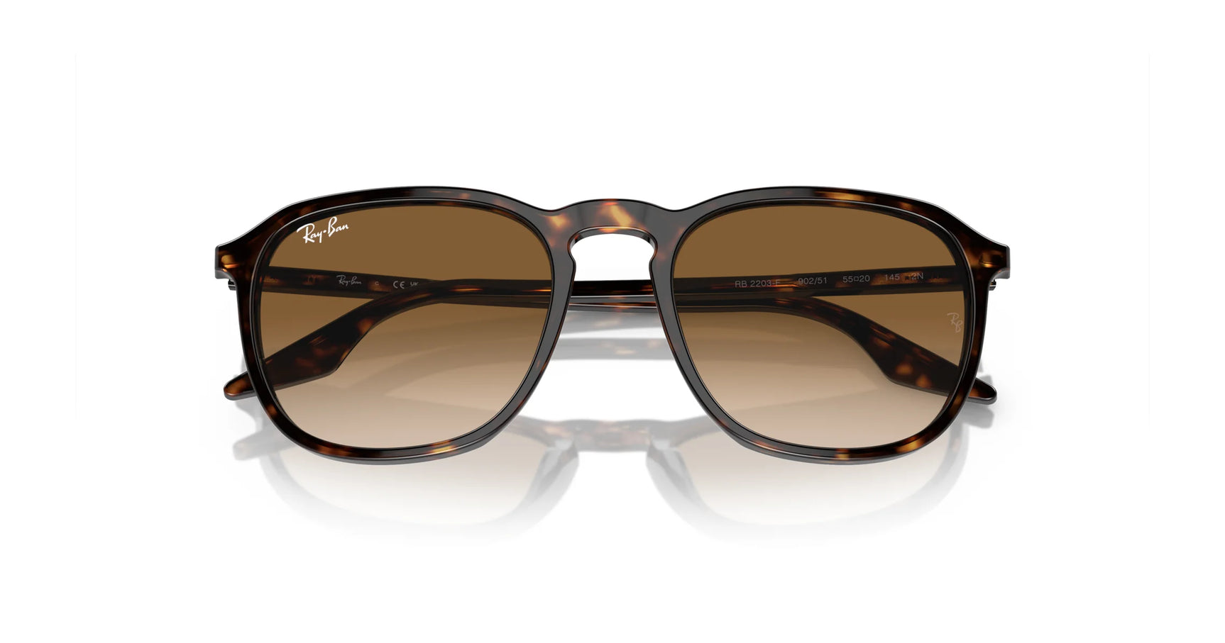 Ray-Ban RB2203F Sunglasses | Size 55