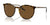 Ray-Ban RB2204 Sunglasses / Havana On Transparent №139357