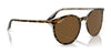 Ray-Ban RB2204 Sunglasses / Black №901/32 / Light Grey (2N 33.3%) / Size 51