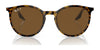 Ray-Ban RB2204 Sunglasses / Black №901/32 / Light Grey (2N 33.3%) / Size 51