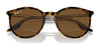 Ray-Ban RB2204 Sunglasses / Black №901/32 / Light Grey (2N 33.3%) / Size 51