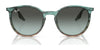Ray-Ban RB2204 Sunglasses / Black №901/32 / Light Grey (2N 33.3%) / Size 51